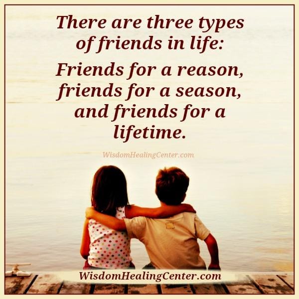 there-are-three-types-of-friends-in-life
